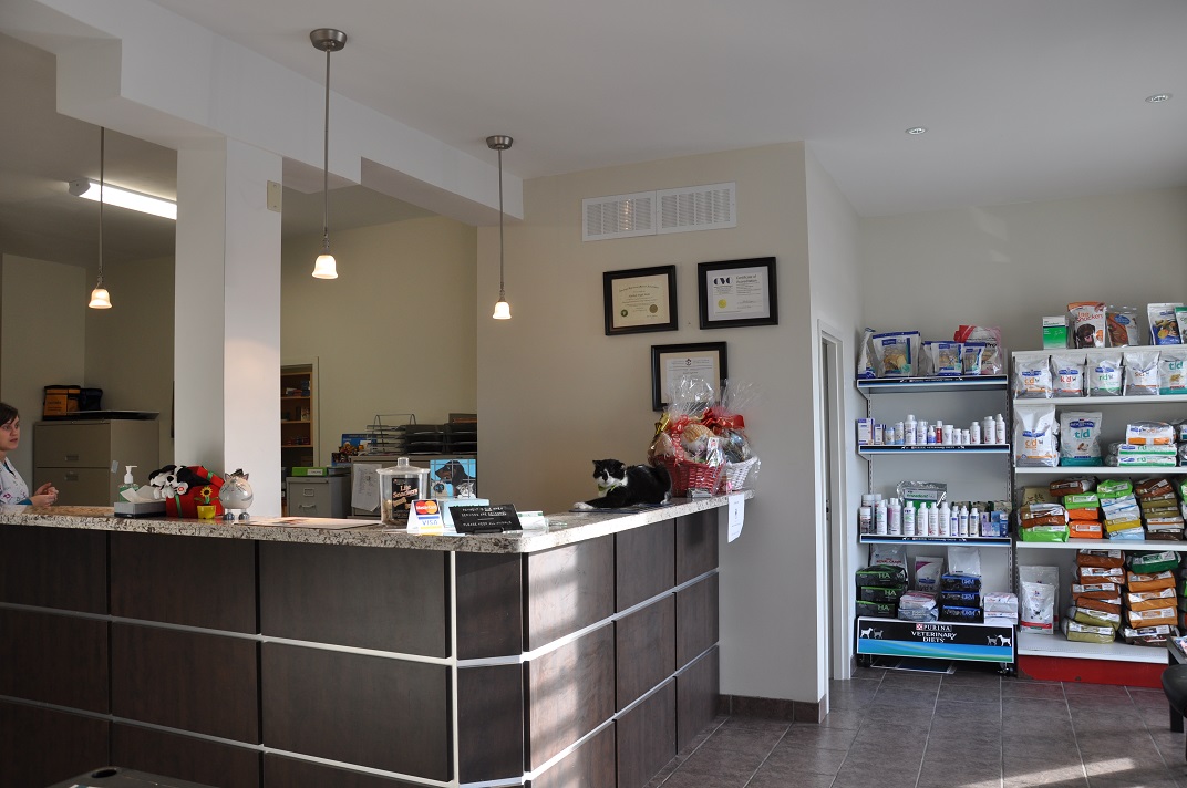 Reception Area